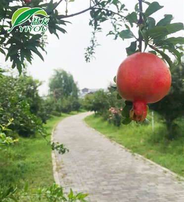 窗套門(mén)洞
